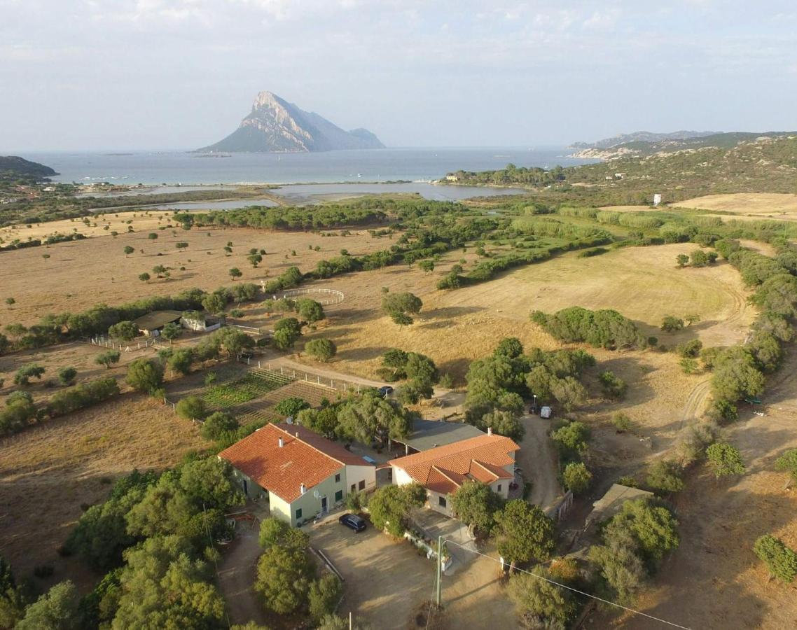 B&B La Taerra Porto San Paolo  Eksteriør billede
